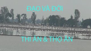 Anh Báu và sự thi ân cao quý