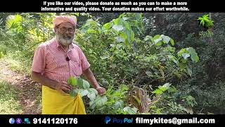 Plant 306 | ಎಡಮುರಿ ಗಿಡ | Edamuri gida | Helicteres isora | Herbal \u0026 The plant