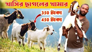 বাংলার বৃহত্তম খাসির ছাগলের খামার || Riyaji Khasi Chagol || Goat Farm in West Bengal