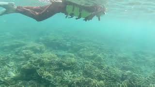 Snorkeling di Pulau Pramuka Kepulauan Seribu