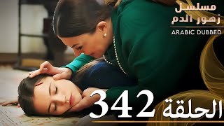 الحلقة 341 | مسلسل زهور الدم | مدبلج بالعربية | Kan Çiçekleri