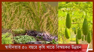 স্বাধীনতার পাঁচ দশকে কৃষি খাতে বিস্ময়কর উন্নয়ন| ধান ও সবজি উৎপাদনে বিশ্বে  অবস্থান এখন ৩য় 15Dec.21