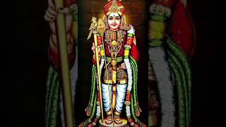 #தினசரி #murugan devotional songs lord 🙏 murugan