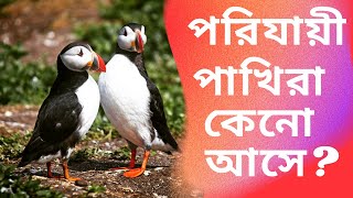 পরিজায়ী পাখিরা কেন আসে? Why do migratory birds come? #আদ্ভুত খেয়াল