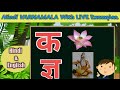 Hindi VYANJAN with Live Examples/क से कमल /हिंदी व्यंजन/HIndi vyanjan/Hindi letters..