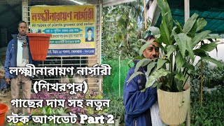 লক্ষ্মীনারায়ণ নার্সারী শিখরপুর|নতুন স্টক আপডেট| Part 2| Nursery Visit at Sikharpur|