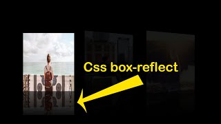 Image Reflect Effects On Hover || Pure Css