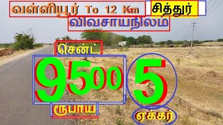 வள்ளியூர் To12km சித்தூர் 5 ஏக்கர் விவசாயநிலம்சென்ட் 9500 ரூபாய்-1140-023.04.01 #home #property #JJJ