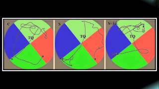 Morris water maze test: Spatial memory