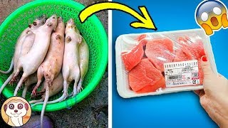 10 ALIMENTI CHE NON MANGERAI PIÙ DOPO QUESTO VIDEO