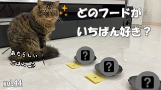 【vol.44】少食猫の好みを調査！フード選びに挑戦するサイベリアン♪