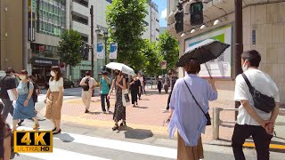 【4K】井の頭通り・朝の渋谷散歩【Online tour】Inokashira Street!!  - Shibuya - Japan!!｜