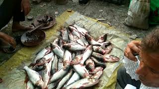 fish market 🤟very crowded market log yaha fresh fish lete hai