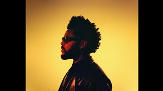 (FREE) The Weeknd x Synthwave Type Beat x Dawn FM - "Romance" - prod. Lusoneo