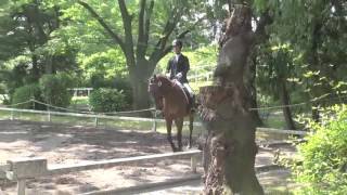 関東学生馬術選手権三回戦　東冠　近藤直人