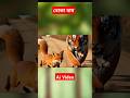 Ai Cartoon Video'' The Clever Fox the Foolish Tiger - A Smart Tale! Part- 1