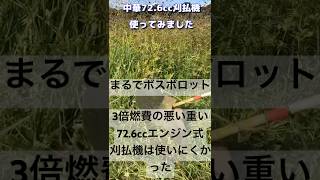 草刈りしよう　72.6ccエンジンの重すぎる刈払機は使いにくかった