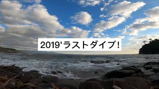 2019'ラストスキューバダイビング ！