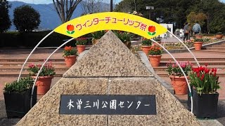 ウィンターチューリップ祭(国営木曽三川公園)2017年3月4日撮影