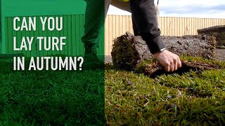 Autumn Lawn Care Series Ep 4 | Repairing or installing new turf in Autumn