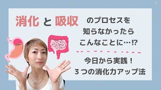 トイレで幕の内弁当！？消化と吸収の仕組みを知っていますか？