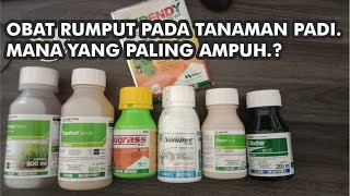 OBAT RUMPUT PADA TANAMAN PADI MANA YANG PALING BAGUS DAN AMPUH.???