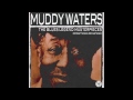 muddy waters louisiana blues