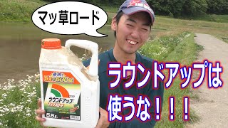 ラウンドアップは使うな！ マッ草ロード！ Don't use roundup！