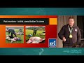 MSD Technical Symposium 2022 - Cosmin Susa, Hunterville Veterinary Club,  Clostridial Case Study