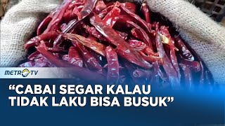 Cabai Segar Makin Mahal, Warga Beralih Jual Cabai Kering