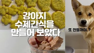 수제간식을 만들어 보았다