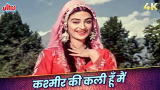 Kashmir Ki Kali Hoon Main 4K In COLOR | Lata Mangeshkar | Saira Banu, Shammi Kapoor | Junglee 1961