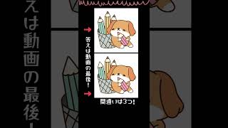 チャレンジ！3つの間違い探し！ #脳トレ #犬