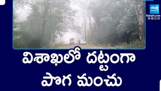 విశాఖలో దట్టంగా పొగ మంచు | Dense Fog In Visakhapatnam | AP News | @SakshiTV