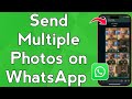 Send Multiple Photos on WhatsApp (Easy Guide!)