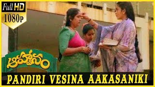 Aahwanam Telugu Video Songs  | Pandiri Vesina Video Song | Srikanth , RamyaKrishna | Patha Patalu