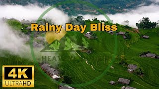 Rainy Day Bliss: Serene Rain Scenery with Relaxing Rain Music for Cozy Vibes