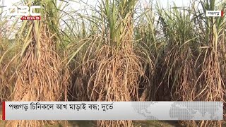 আখ মাড়াই বন্ধে লোকসান প্রায় ৮ কোটি টাকা