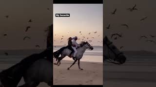 lovely couples😍||horse riding||whatsapp status😍💝💞||#shorts #youtubeshorts #shortsvideo #reels#status