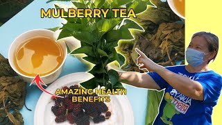 Mulberry Tea | Amazing Health Benefits