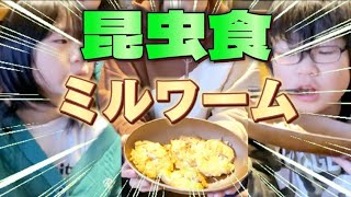 【昆虫食】ミルワームを絶品料理にして食べてみた！