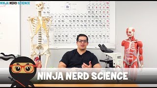 Welcome to Ninja Nerd Science!