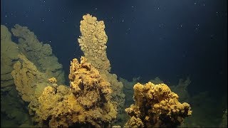 Bubbling Vents and Colorful Chimneys of Volcanic Vailulu'u Seamount | Nautilus Live