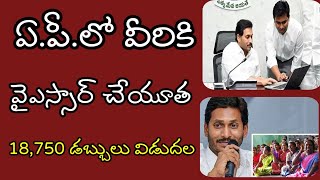 శనివారం నాడు ఏపీలో వైయస్సార్ చేయూత డబ్బులు వీరికి విడుదల YSR cheyutha scheme amount released soon.