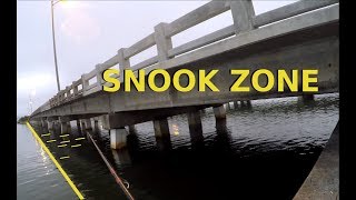 How To Catch Snook Around Bridges, Where and When to Fish