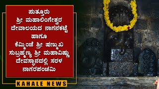 ಪುತ್ತೂರಿನ ಪ್ರಸಿದ್ದ ನಾಗ ಕ್ಷೇತ್ರದಲ್ಲಿ ಸರಳ ನಾಗರ ಪಂಚಮಿ - ಕಹಳೆ ನ್ಯೂಸ್