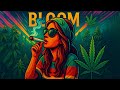 🌴 Roots & Dub Chronicles – Pure Reggae Power