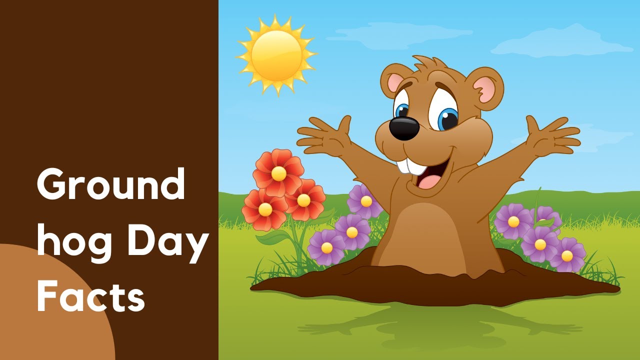 Fun Facts For Children About Groundhog Day | Day Facts - YouTube