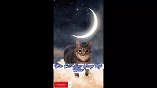 Yung Kai - Blue (Cover By Oia Cat) 🎧 #cat #catlover #sad #vibes #youtube