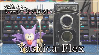 【二眼レフカメラ】YashicaFlexで撮影したよ【ブローニーフィルム】